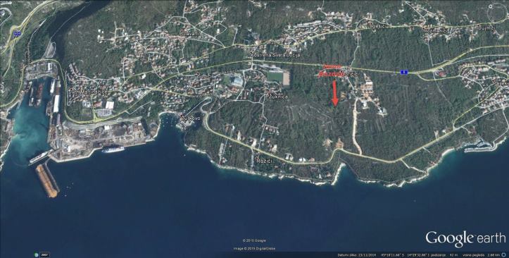 1917056_1321885481159367_7609927343513375243_n