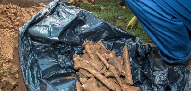 stravicna-otkrica-probna-iskapanja-u-gospicu-otkrila-masovne-grobnice-partizanskih-zrtava-noz-vjesala-i-malj_article