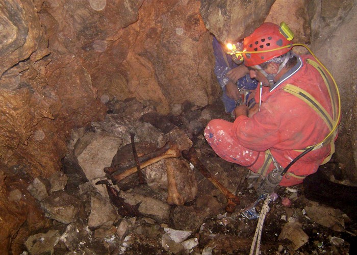 borovik_jama_kosti-030907-2