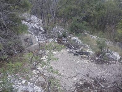 10649826_10201601588960362_5728023397422593250_n (1)