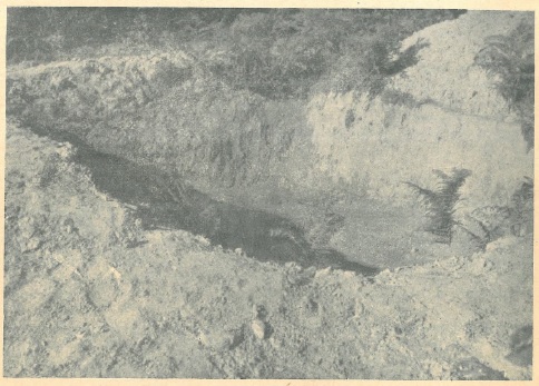 Pokraj grobova poubijanih na Pašincu kod Prijedora nađene su još dvije ovakve velike svježe grabe u koje su imali doći drugi ljudi, koje su partizani namjeravali poubijati.