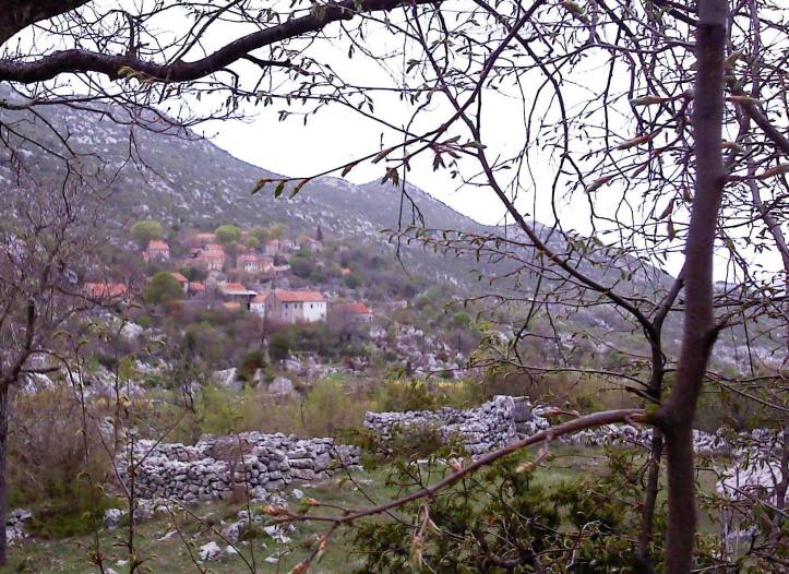 858187_10156446102430525_3133862873135982788_o