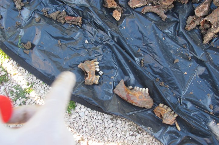 slano-spomen-obiljezje1