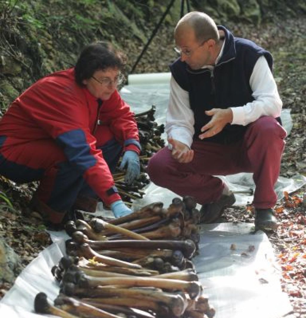 o_konfin-brezno-kosti1_1024