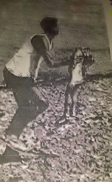 Jedna od rijetkih fotografija s mjesta eksplozije u Vergaroli gdje otac nosi ranjenu djevojčicu.