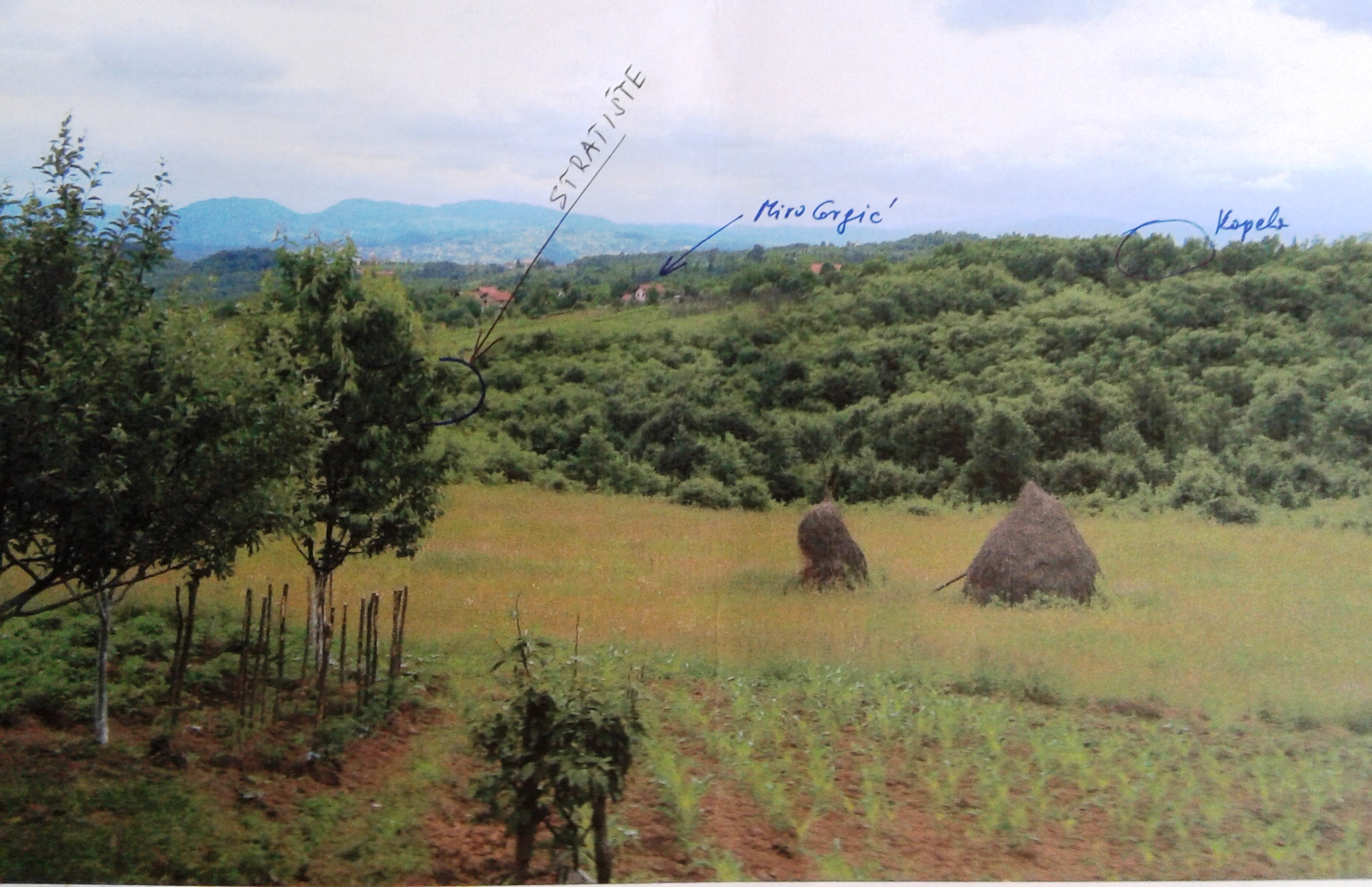 Fotografija mjesta masovnog grobišta u Prisadama -