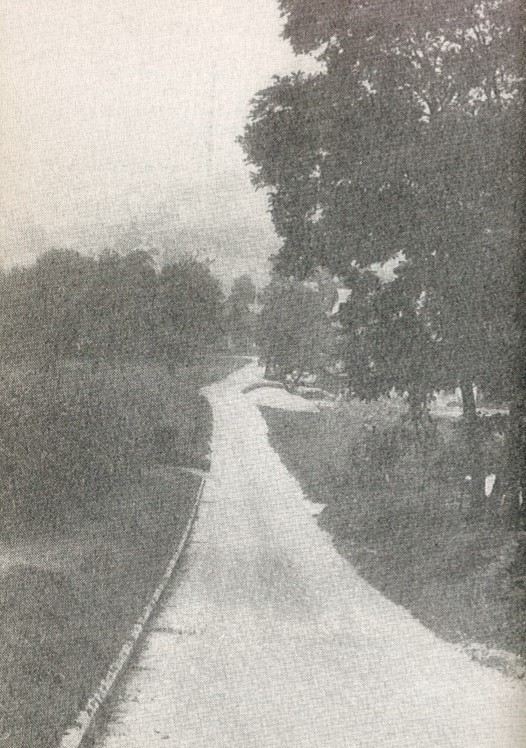 Cesta kojom su vodili zarobljenike u Teharski logor