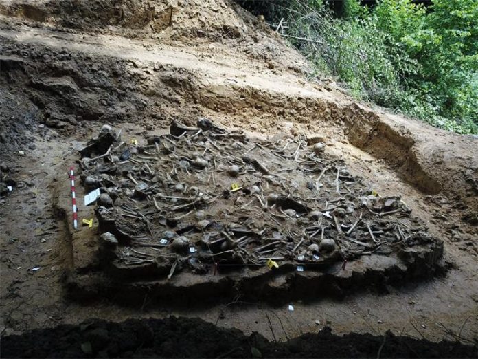 IMG-20200529-WA0002-696x522