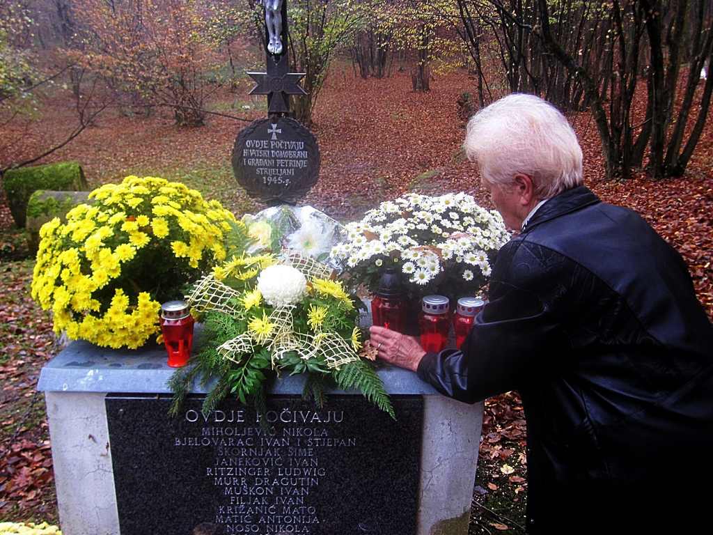 Žicina-šuma-01 – kopija