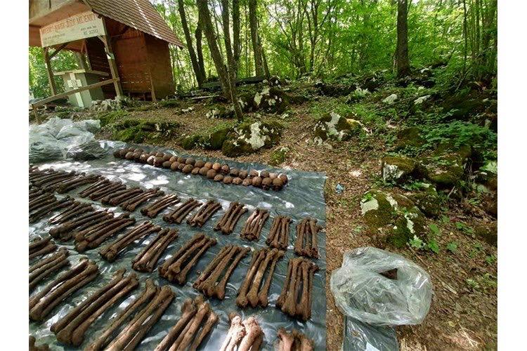 110281655_1427861350732850_3898199466835765593_n