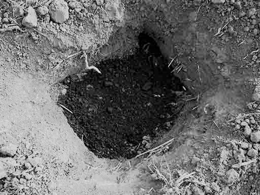 Živo dijete zakopao u jamu s đubrem